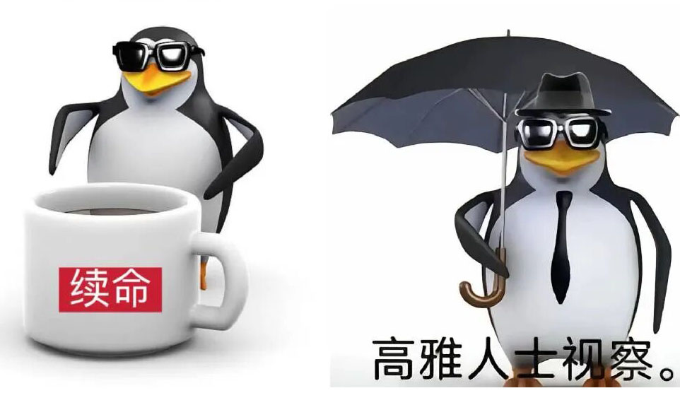 火爆全網(wǎng)的“高雅企鵝”，到底是什么來頭？